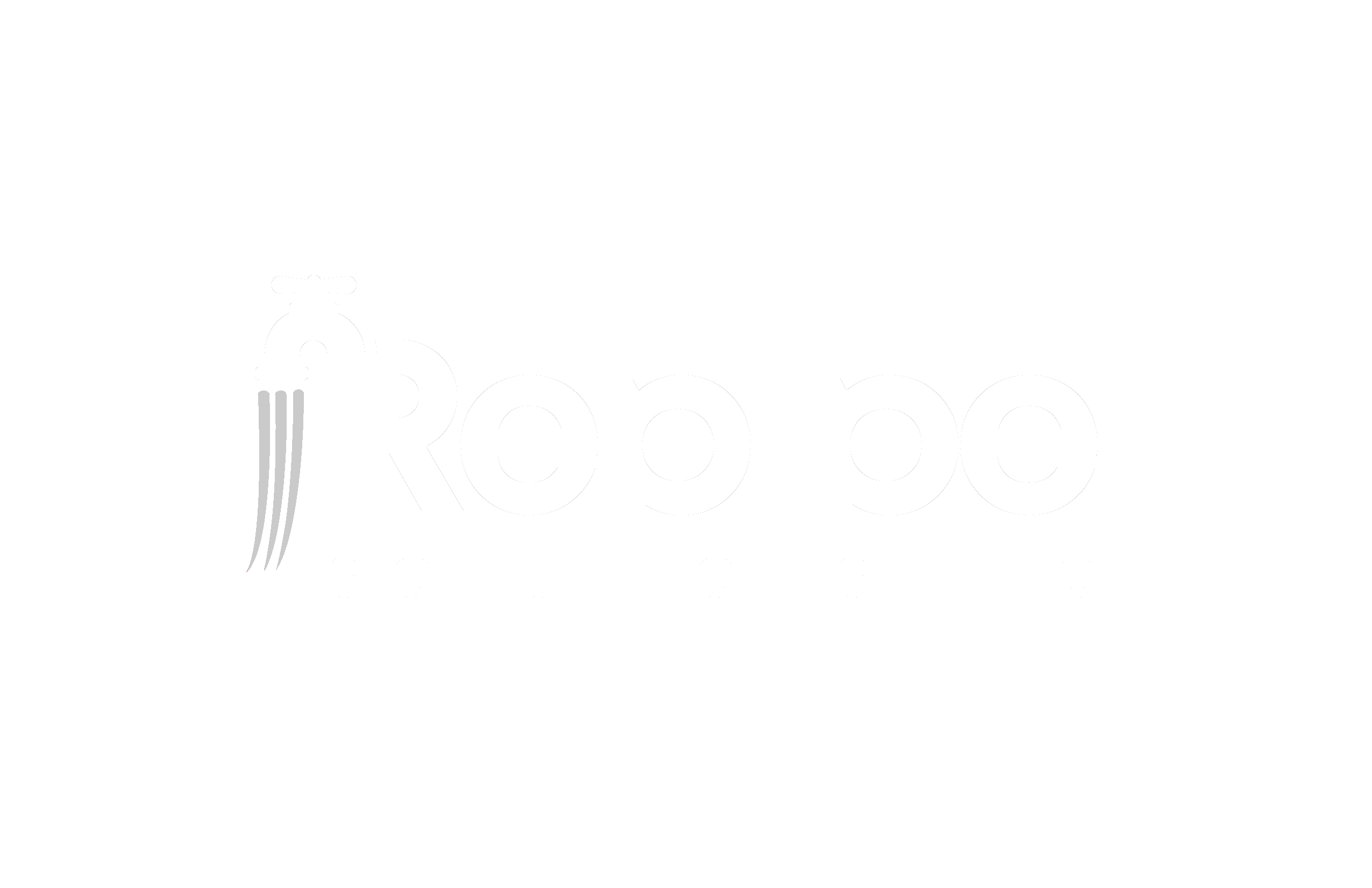 Repipe Solutions Inc