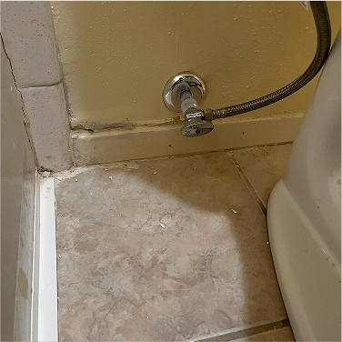 plumbing services in houston texas